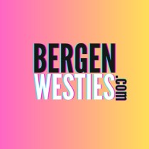Bergen Westies on October 12, 2025